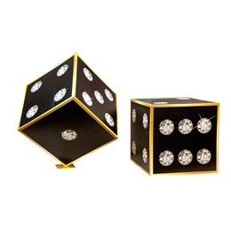 On a Roll Dice Kit (set of 2)