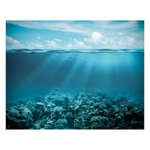 Cool Ideas For Underwater Prom Theme Promnite Idea Center
