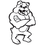 48