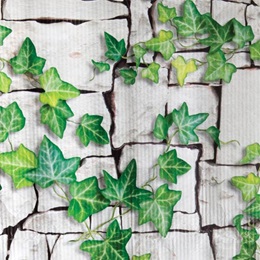 Patterned Paper – White Brick with Ivy