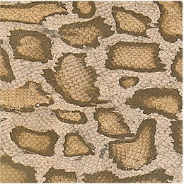 Animal Print Flat Paper – Snake