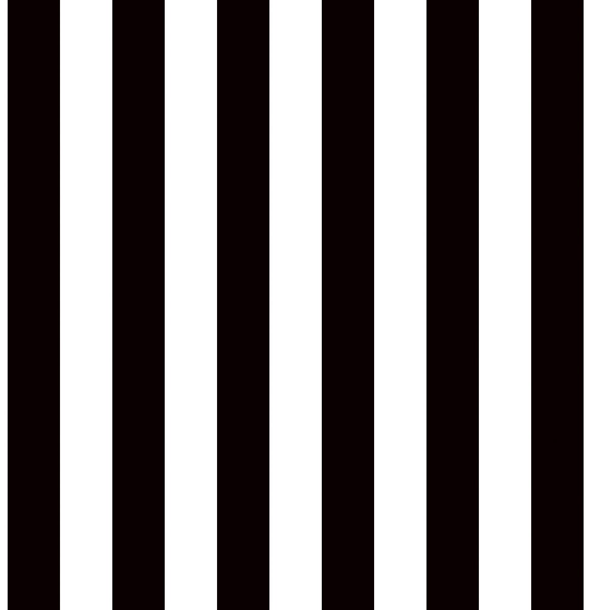 Black and White Striped Decorating Paper