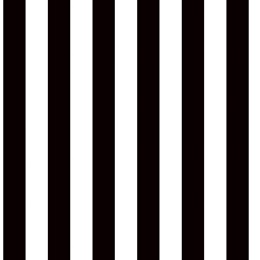 Black and White Striped Decorating Paper