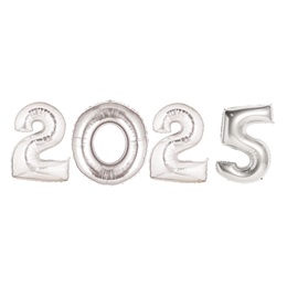 2024 Balloon Kit - Silver