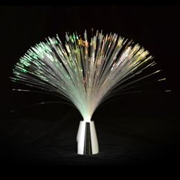 Fiber Optic Centerpiece