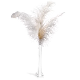 Prom Centerpiece Kit - White Ostrich Feather