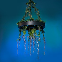 Purple Wisteria Wheel Kit