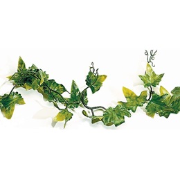 English Ivy Garland - 6 feet