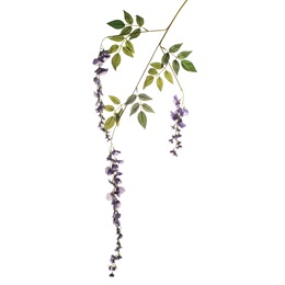 Wisteria Blossom - Purple