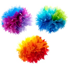 Rainbow Fluffy Tissue Paper Decorations