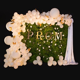 Prom on Display Balloon Wall Kit