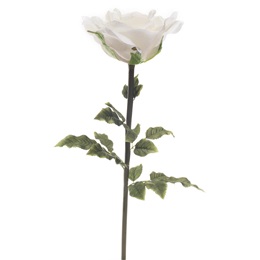 Jumbo White Rose, 44 in.
