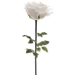 Jumbo White Rose, 53 in.