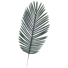 Artificial Fern Leaf