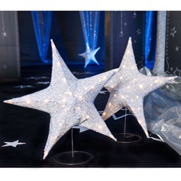 Our Special Star Large Stand Kit