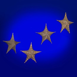 Your Time to Shine Lit Fabric Stars Kit (set of 4)