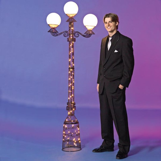 Lamppost globes deals