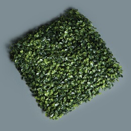 Boxwood Mat