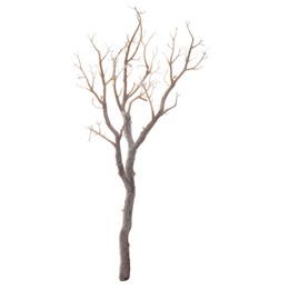 Small Glitter Manzanita Branch - White