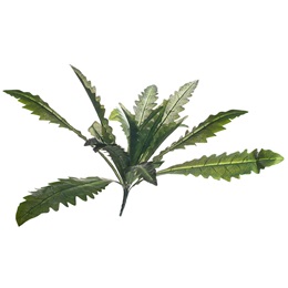 Artificial Fern Plant