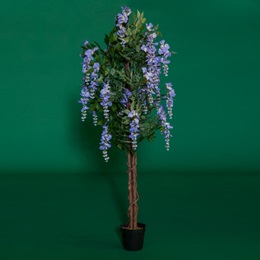 Purple Wisteria Tree Kit