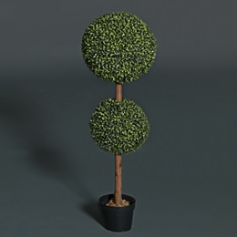 Boxwood Topiary Kit