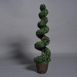 Spiral Topiary Kit