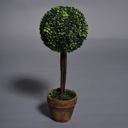 Short Topiary Kit