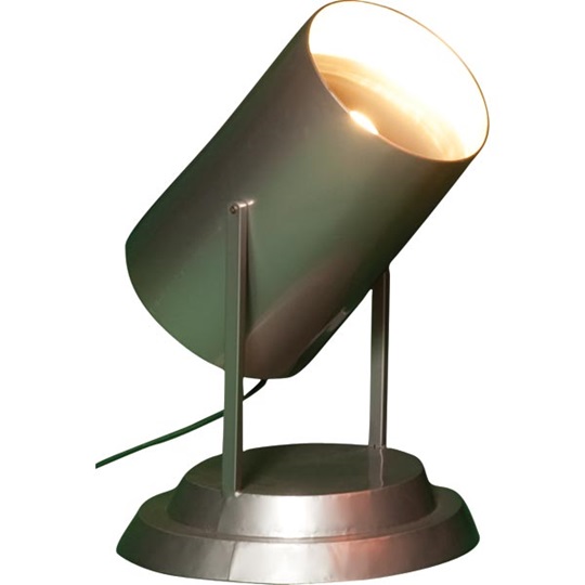 Metal Spotlight With Clear Floodlight Bulb