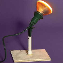 Flood Light with Wooden Base