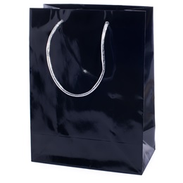 Elegant Black Gift Bag