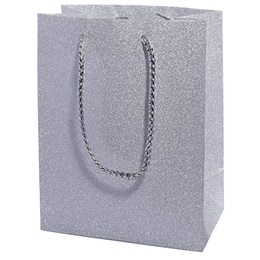 Sparkling Silver Gift Bag
